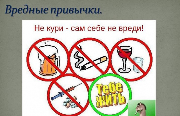 Здоровый выбор. Профилактика вредных привычек