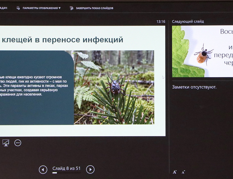 Молчаливые резервуары: тайная жизнь инфекций в природе