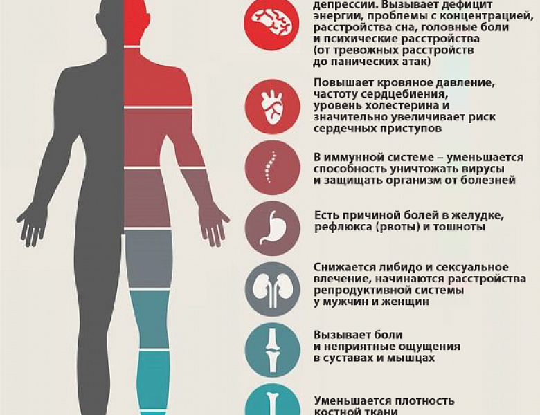 Экзамен без стресса