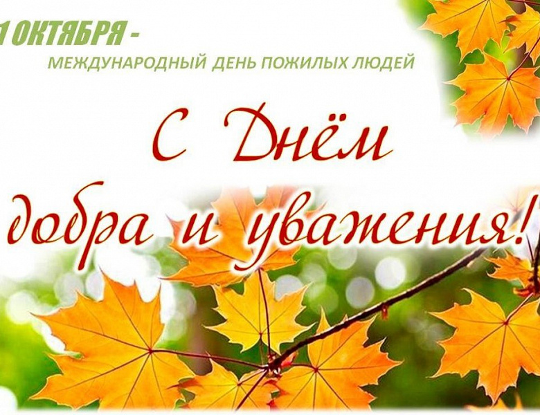 День добра и уважения, Международный день пожилого человека