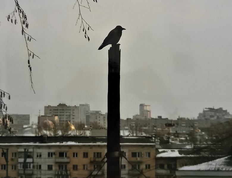Земля - наш ЭКОДОМ