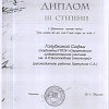 Диплом 11