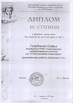 Диплом 11