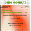Сертификат  Храпугина.jpg