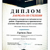 Диплом Гордина Л..jpg